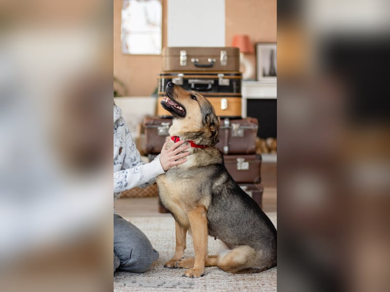 Wunderschöne Musya wartet auf dich