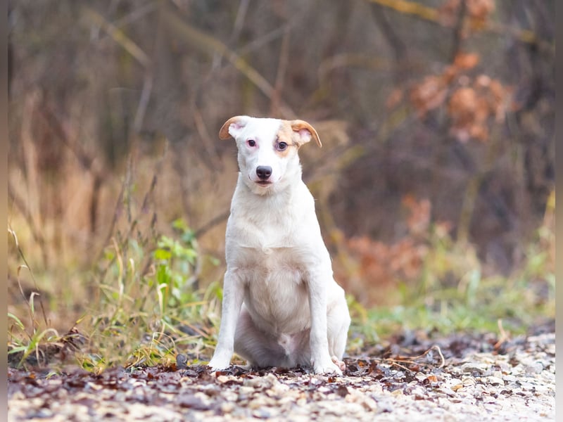 Aufgeschlossener Lord sucht aufgeschlossene Menschen