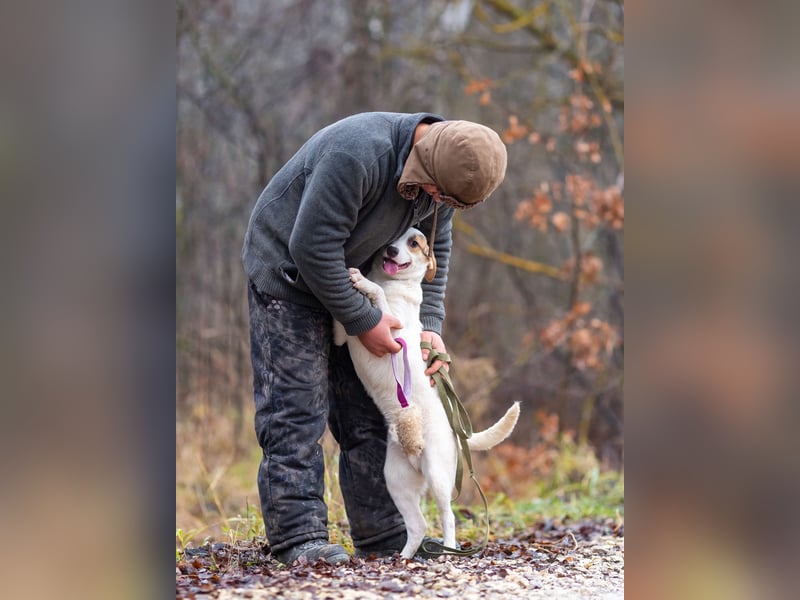 Aufgeschlossener Lord sucht aufgeschlossene Menschen