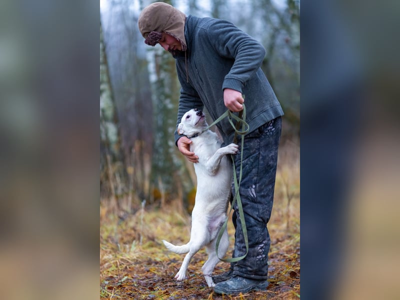 Aufgeschlossener Lord sucht aufgeschlossene Menschen