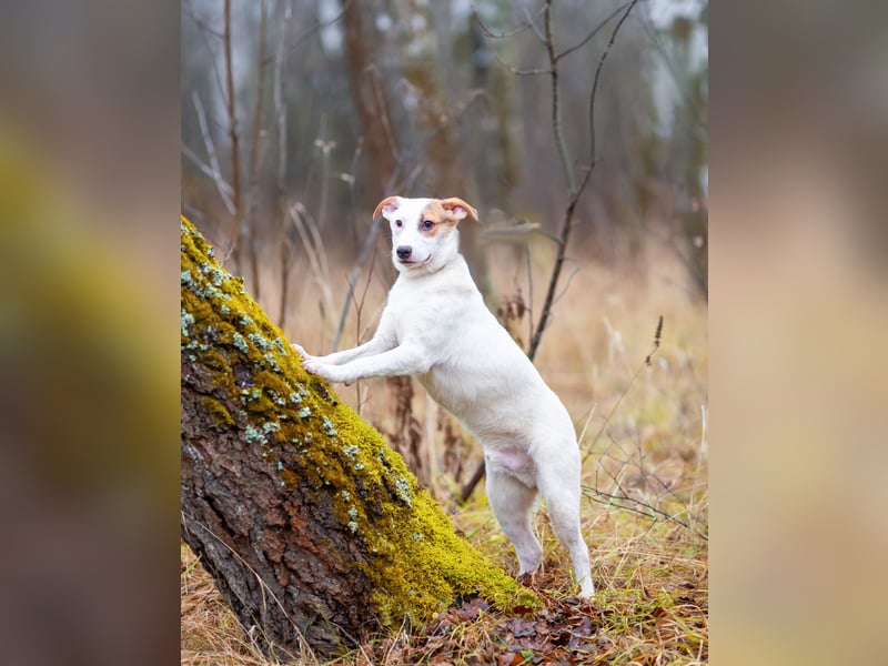 Aufgeschlossener Lord sucht aufgeschlossene Menschen