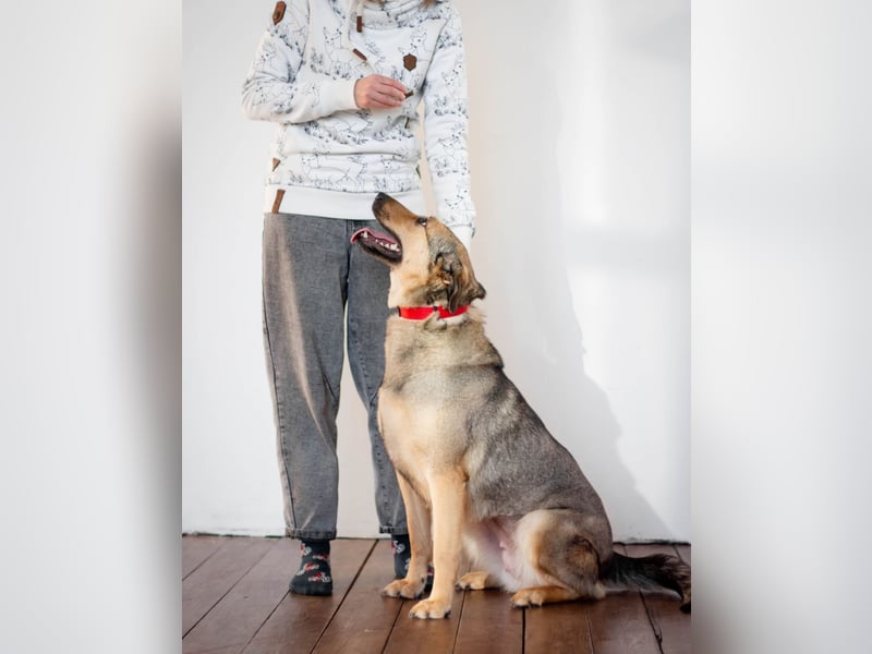 Wunderschöne Musya wartet auf dich