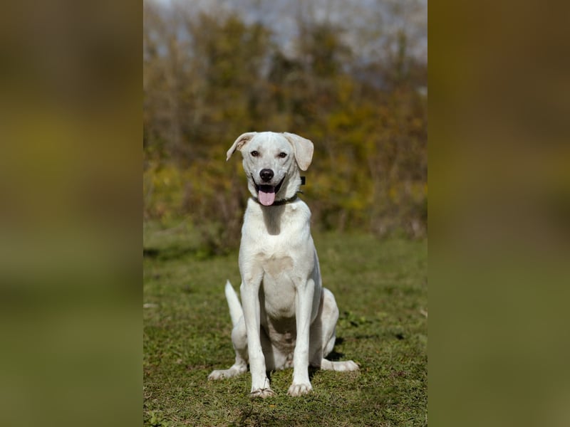 Lilit Taub durch die Welt , aber mit viel Liebe