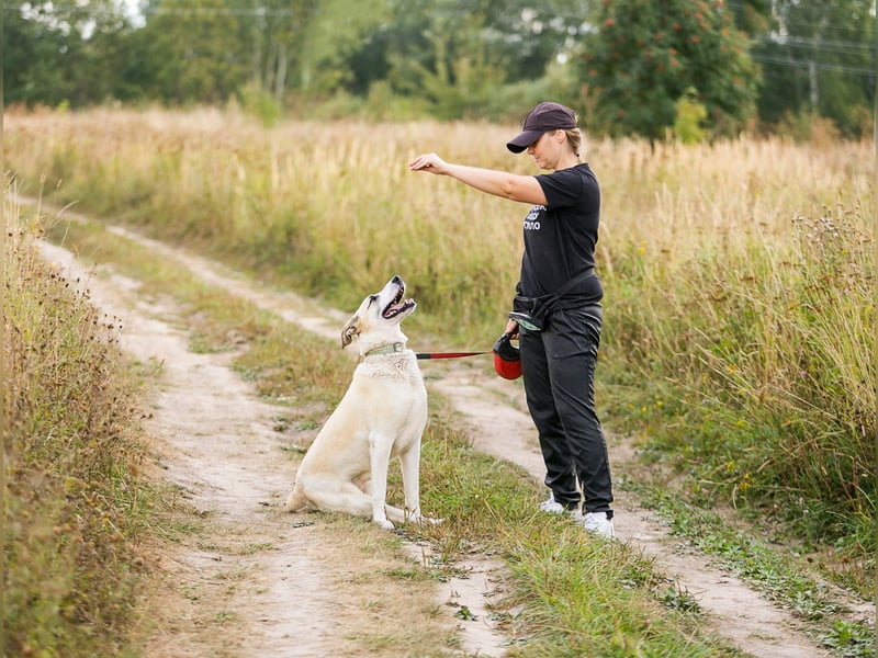 Kannst du Nemo lieben trotz handicap?!