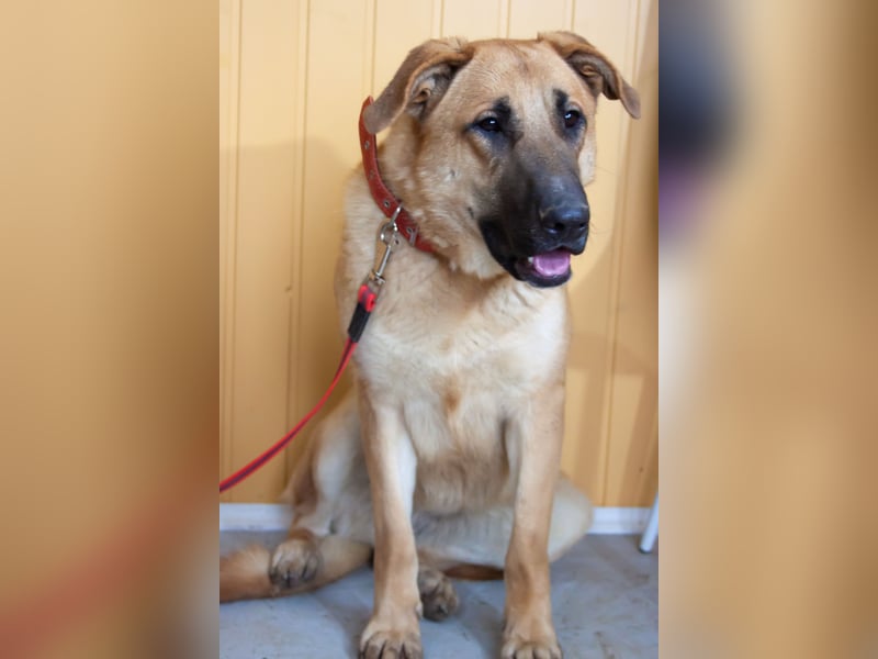 Junge hübsche Leia sucht Familie