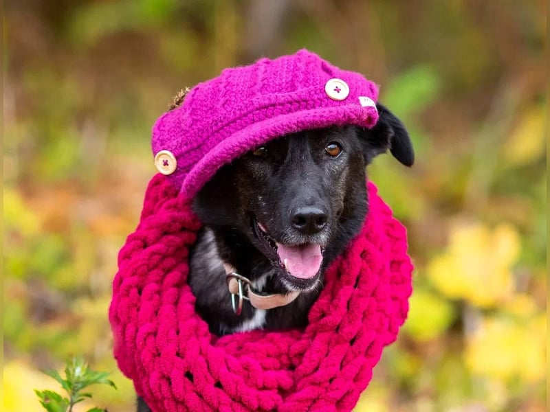 Wunderschöne Jasmine mochte geliebt werden