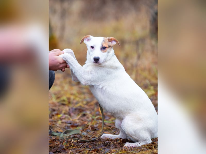 Aufgeschlossener Lord sucht aufgeschlossene Menschen