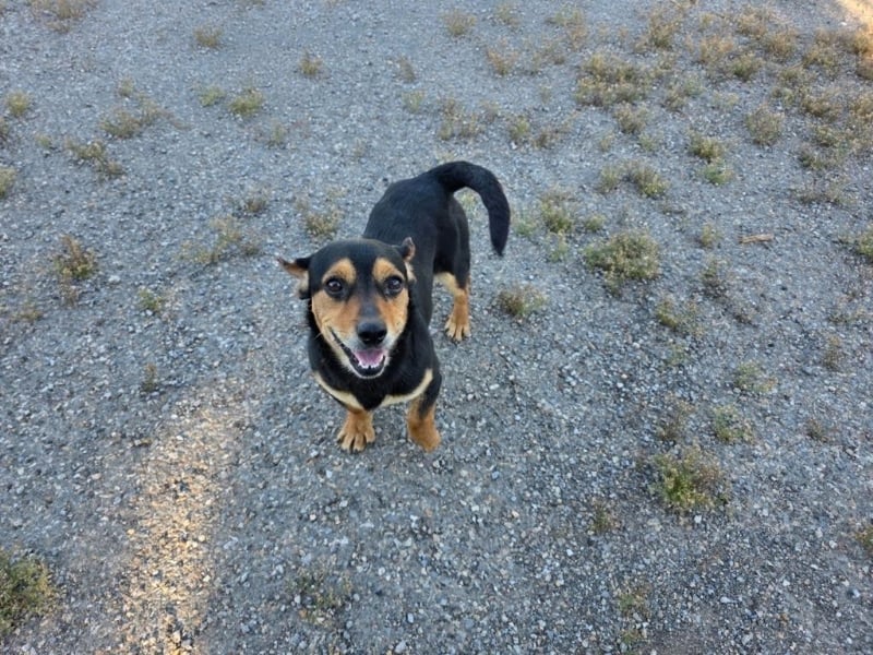❤️ TACO❤️