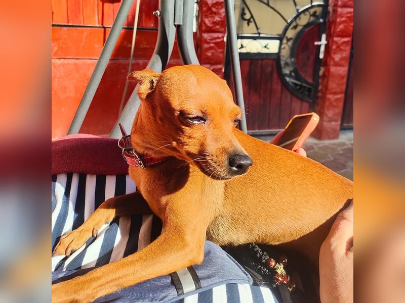 Doris