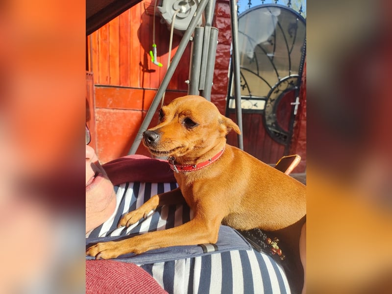 Doris