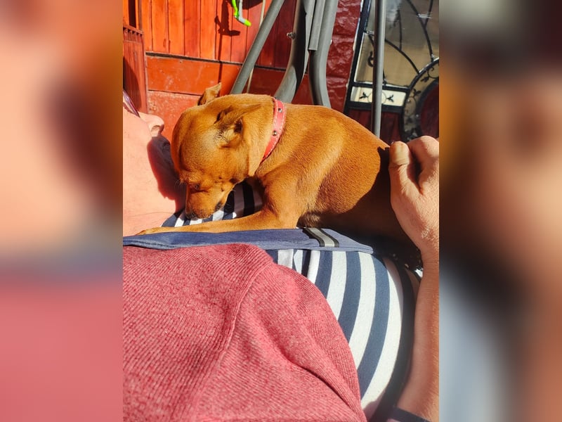 Doris