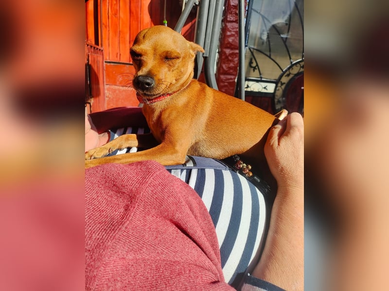 Doris