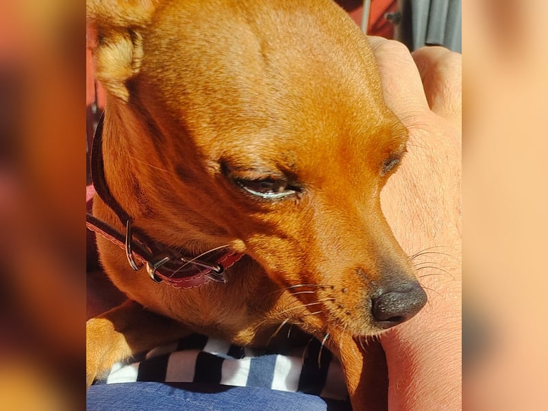 Doris