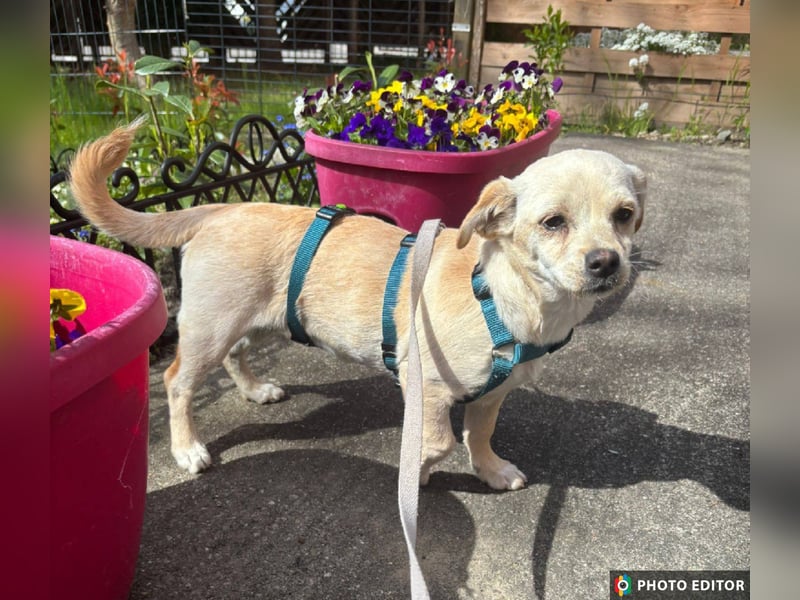 Ottilie sucht ihre aktive Familie, PS in 04552 Borna