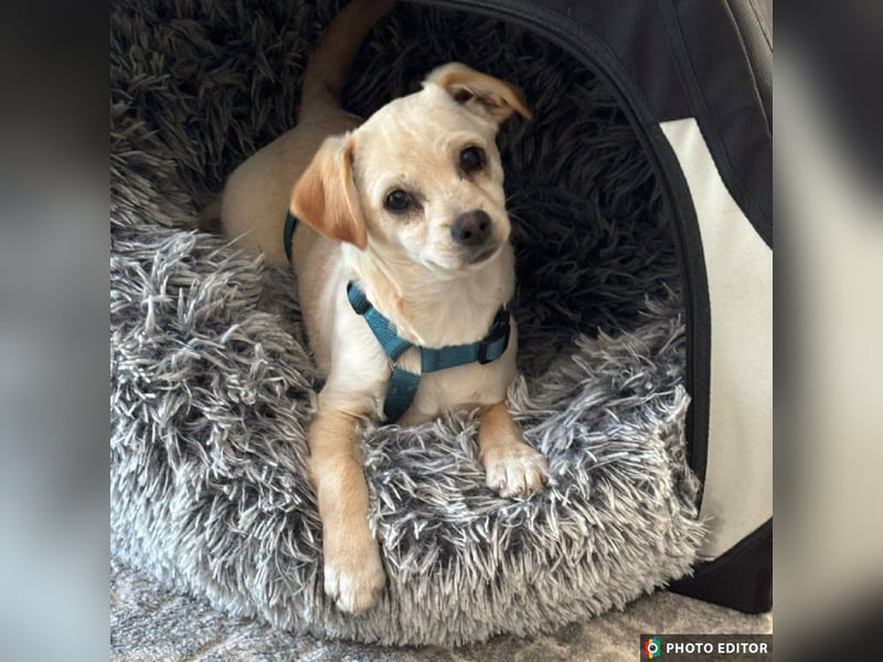 Ottilie sucht ihre aktive Familie, PS in 04552 Borna