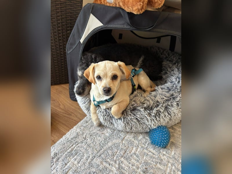 Ottilie sucht ihre aktive Familie, PS in 04552 Borna