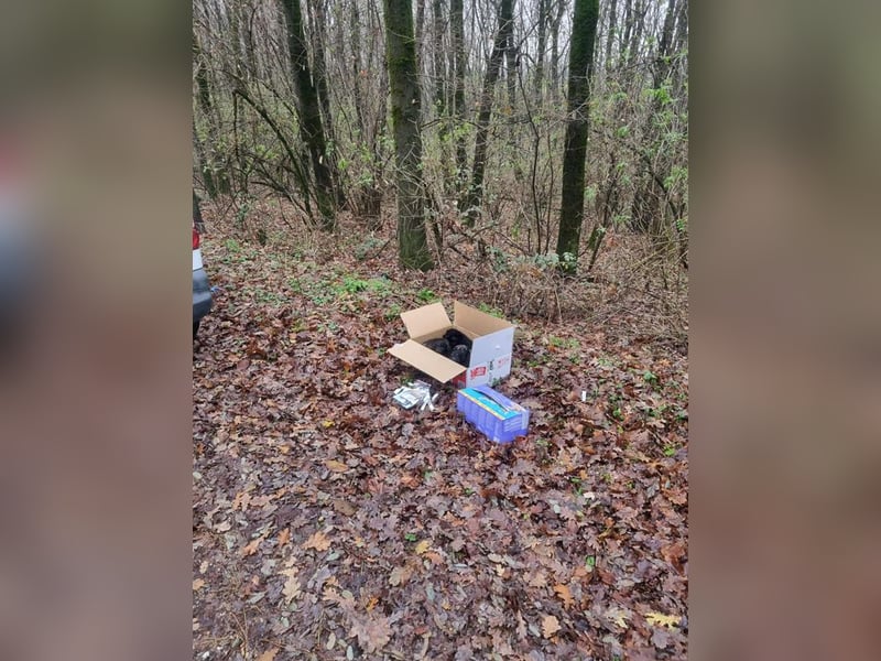 Paula sucht ein Zuhause