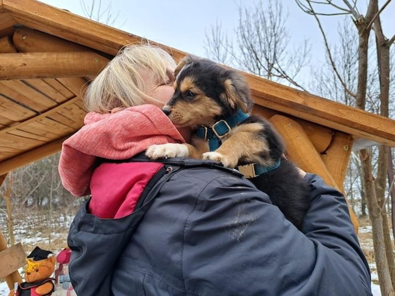 Little Rocky, kleiner, großer Schmuser, ca. 4 Monate, ca. 23 cm, ca. 4 kg *in 83250 Marquartstein*