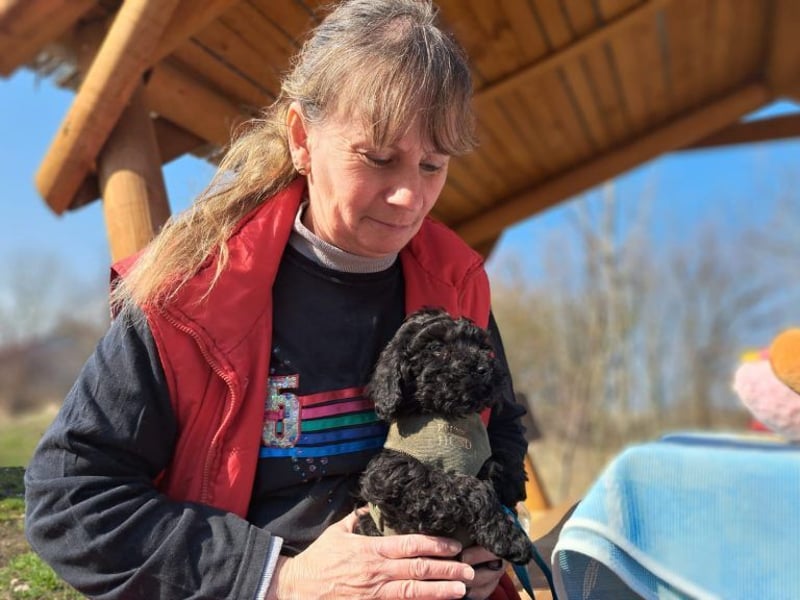 Arthos, kleines Energiebündel, ca. 3 Monate, ca. 18 cm, ca. 2 kg *bald in 80687 München*