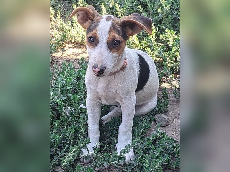 Kleine Carmen (*05/2026) sucht ihre Familie