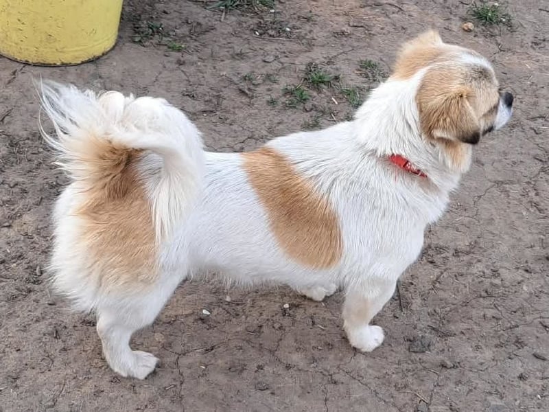 Kleine Coco sucht ihre Familie