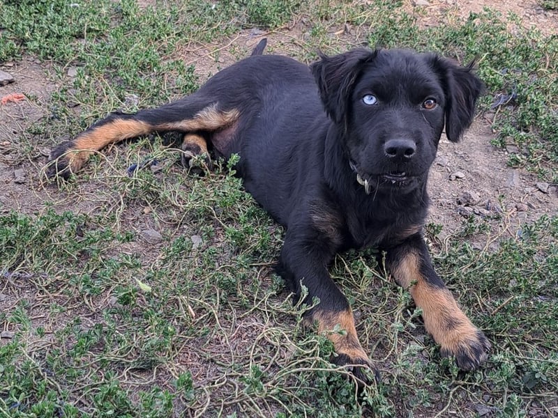 Kleiner Marco ( * 04/2026 ) sucht seine Familie