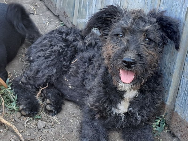 Kleine Bodza (*04/2026) sucht ihre Familie
