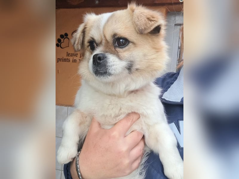 Kleine Coco sucht ihre Familie