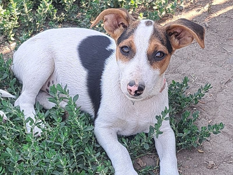 Kleine Carmen (*05/2026) sucht ihre Familie
