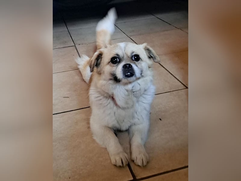 Kleine Coco sucht ihre Familie