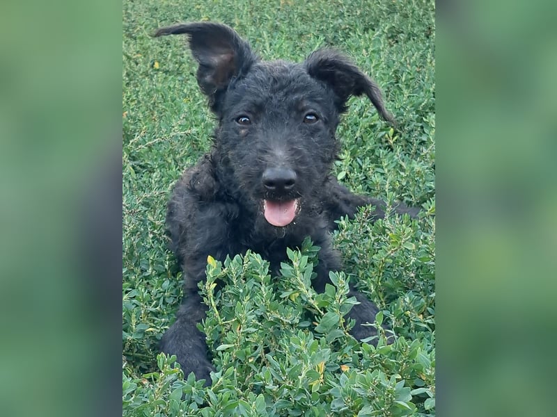 Kleine Barka (*04/2026) sucht ihre Familie
