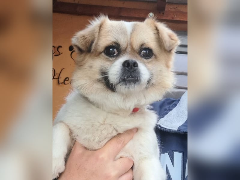 Kleine Coco sucht ihre Familie