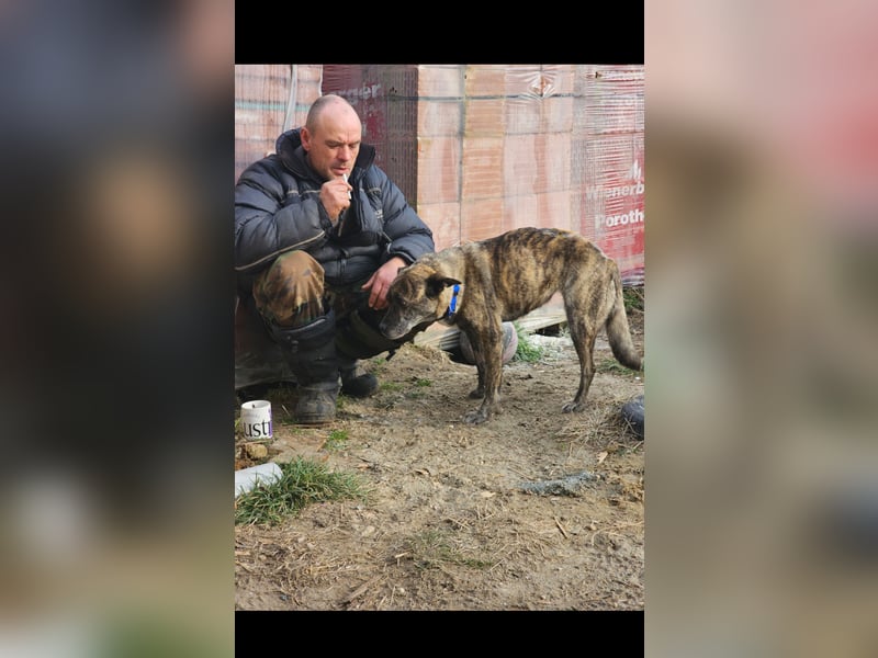 Maya trotz Handicap voller Lebensfreude