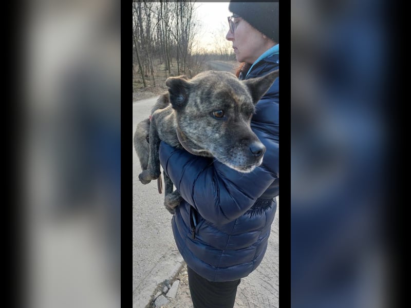 Maya trotz Handicap voller Lebensfreude