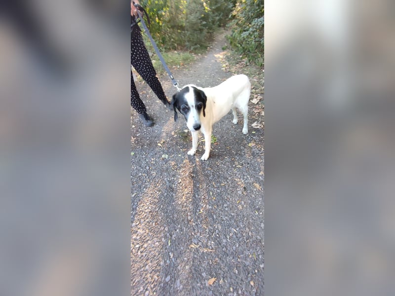 Moja sucht ihr Haus mit Garten wer kann der Seniorin den Wunsch erfüllen