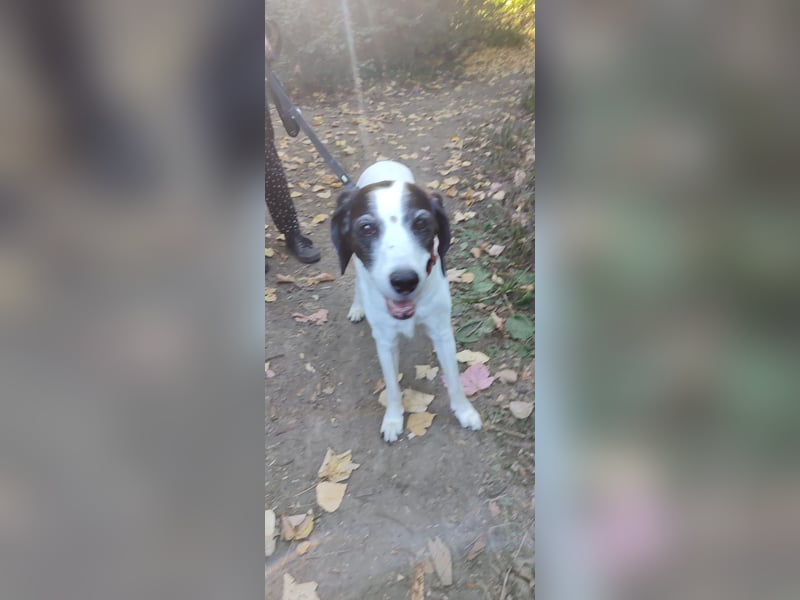 Moja sucht ihr Haus mit Garten wer kann der Seniorin den Wunsch erfüllen