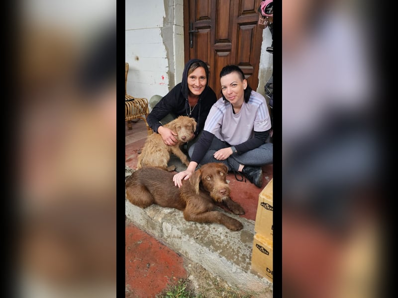 Frakk ein Herz zum verlieben