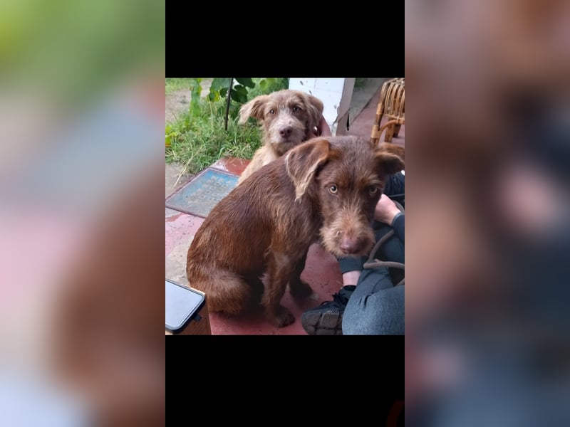 Frakk ein Herz zum verlieben