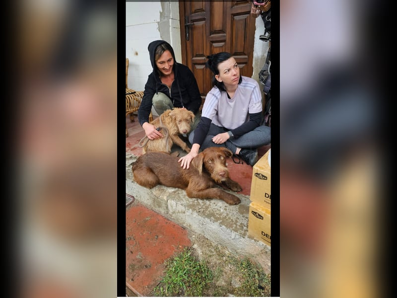 Frakk ein Herz zum verlieben