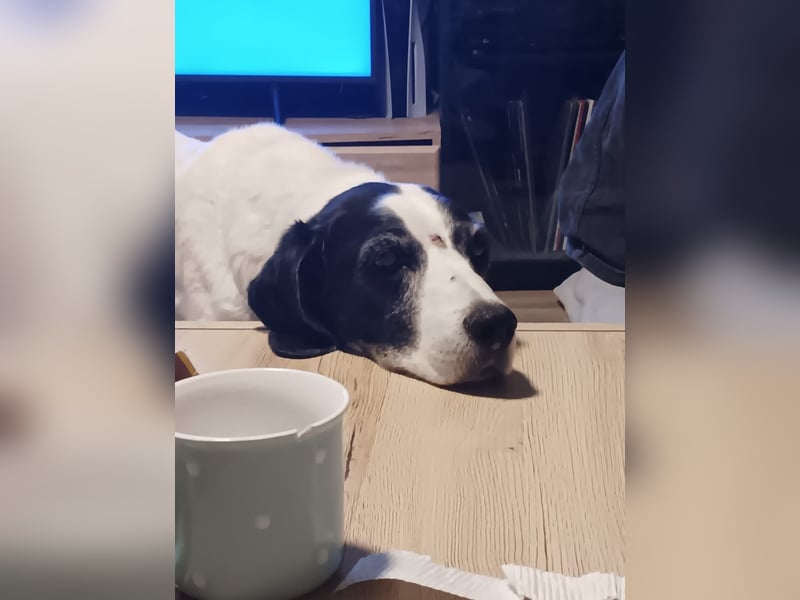 Moja sucht ihr Haus mit Garten wer kann der Seniorin den Wunsch erfüllen