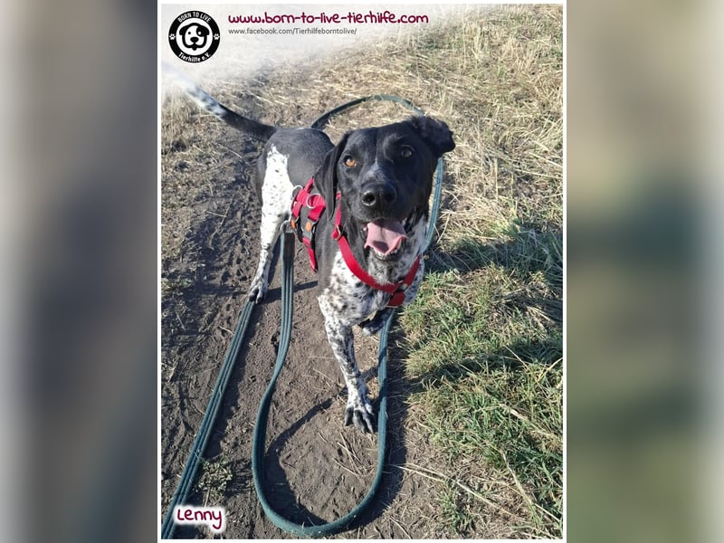 Handicap Fellnasse Lenny sucht ein Zuhause für immer