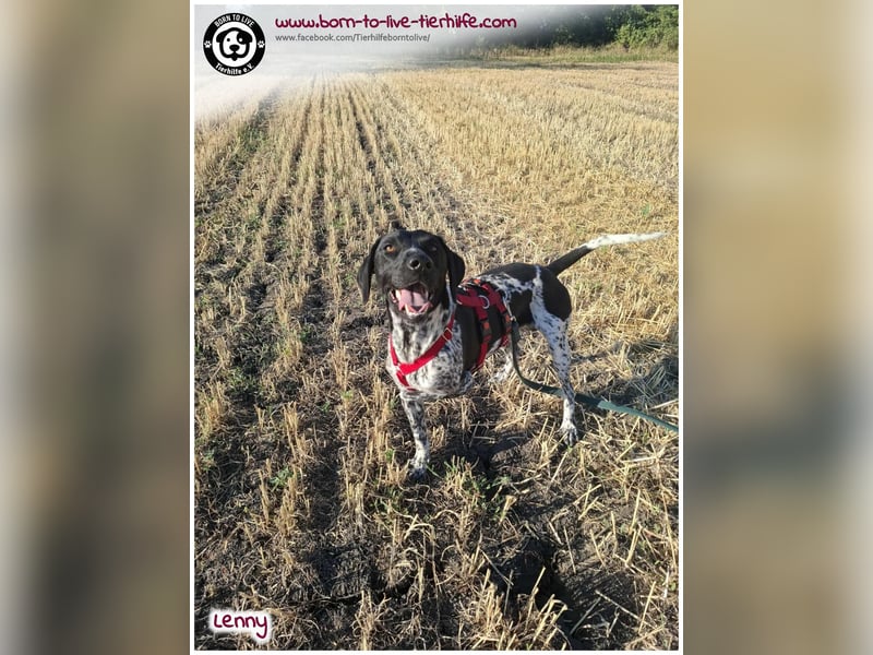 Handicap Fellnasse Lenny sucht ein Zuhause für immer