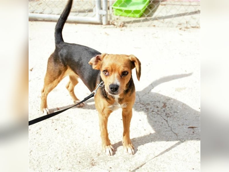 TIMON- lächelt gerne