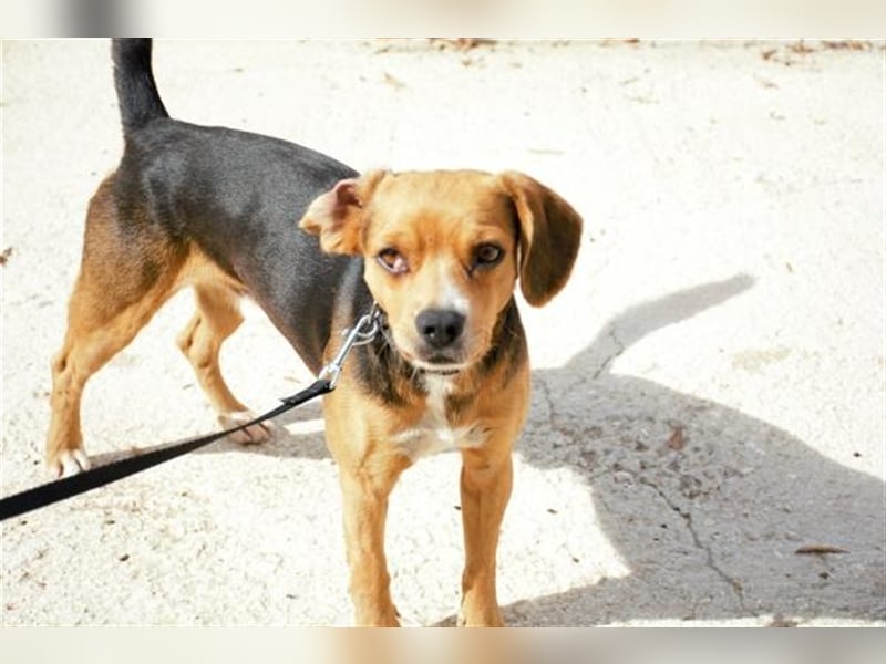 TIMON- lächelt gerne