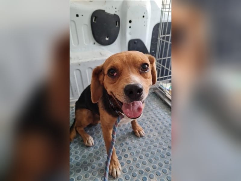 TIMON- lächelt gerne