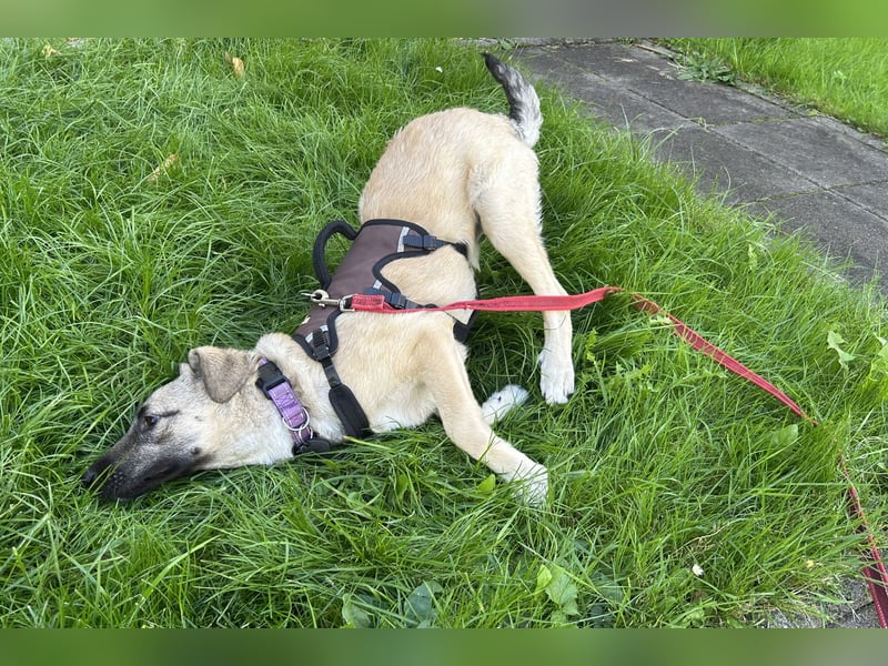 Fröhliche Freya sucht ihre Familie