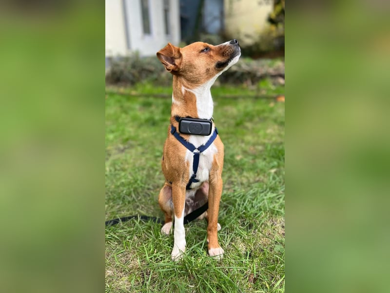 Pacco - Kuschelherz&ein Platz direkt in deinem Leben