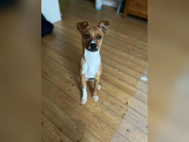 Pacco - Kuschelherz&ein Platz direkt in deinem Leben