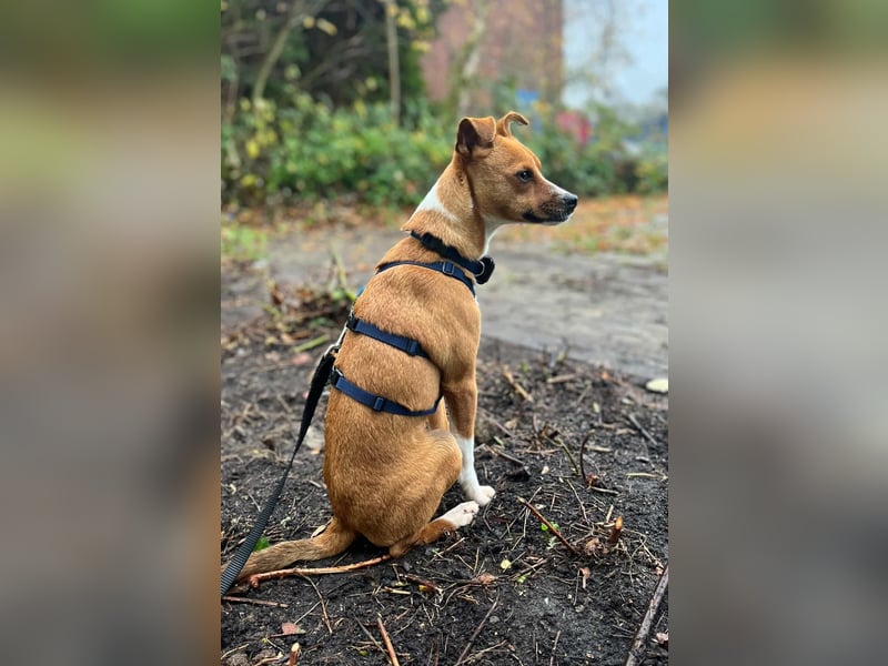 Pacco - Kuschelherz&ein Platz direkt in deinem Leben