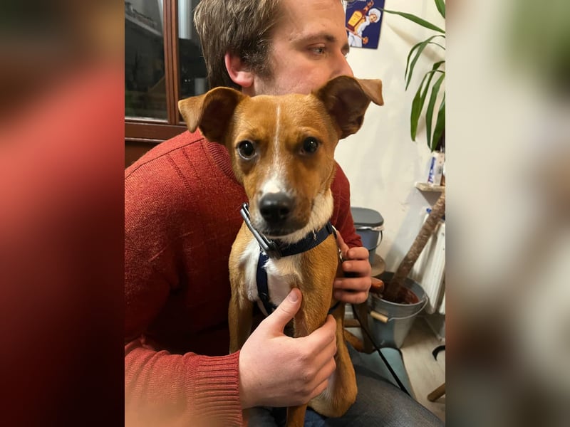 Pacco - Kuschelherz&ein Platz direkt in deinem Leben